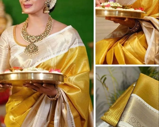 Banarasi Designer saree