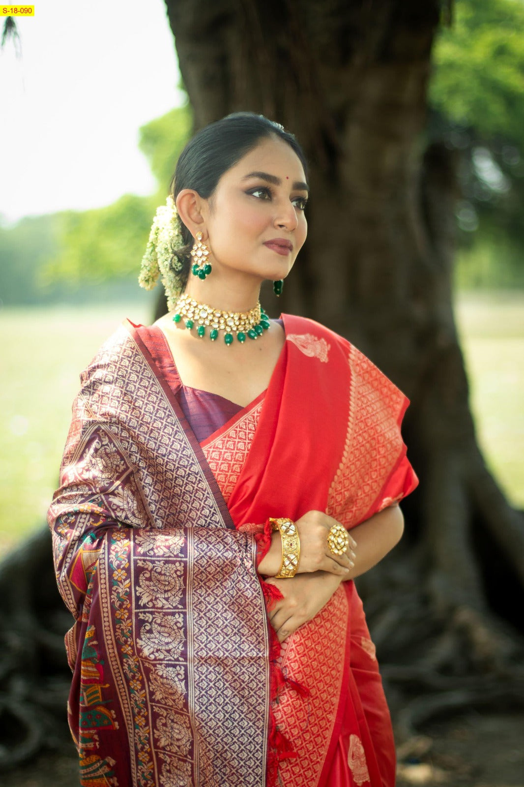 Soft Raw Silk Sarees