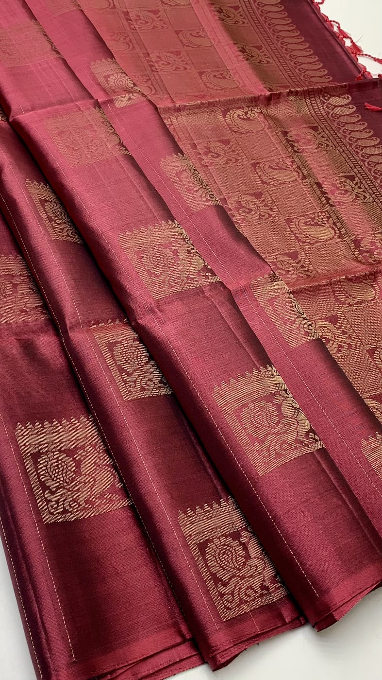 Trendy Borderless Kanchi Silk Sarees
