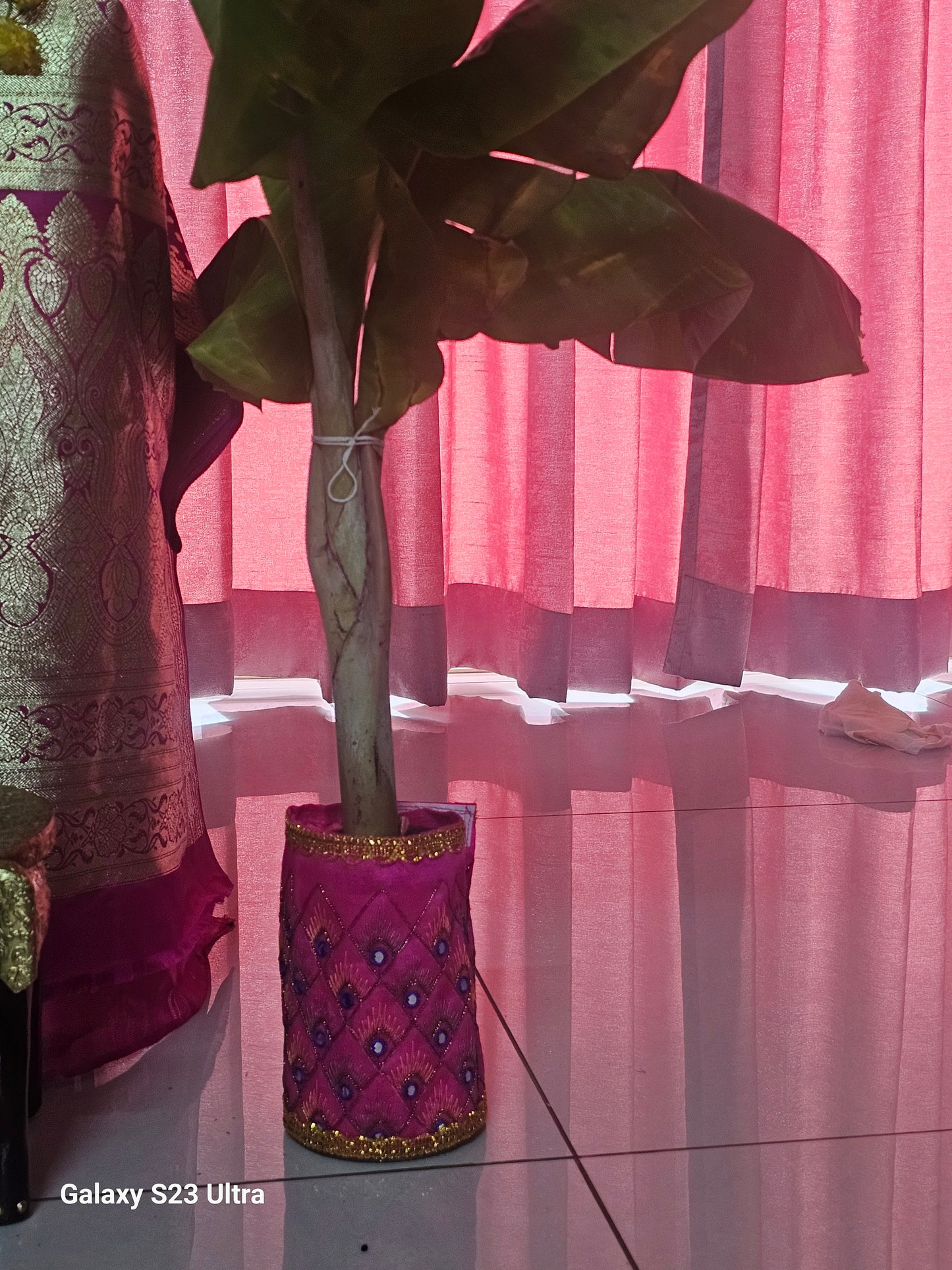 Banana Plant Holder Covers in Pair