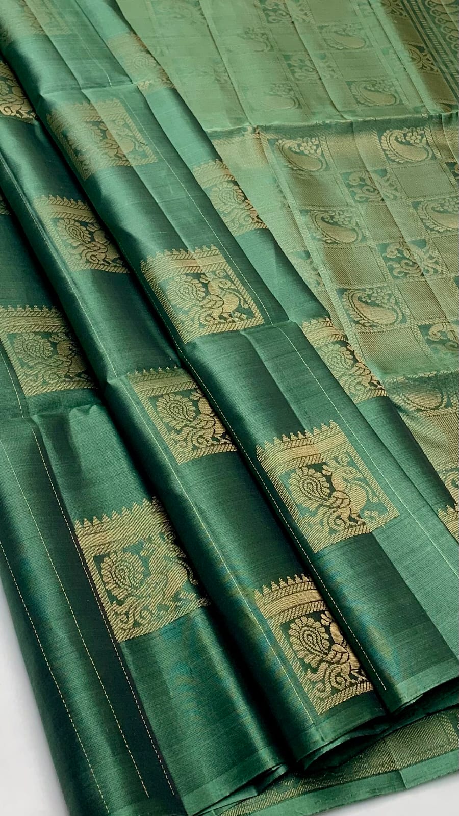 Trendy Borderless Kanchi Silk Sarees