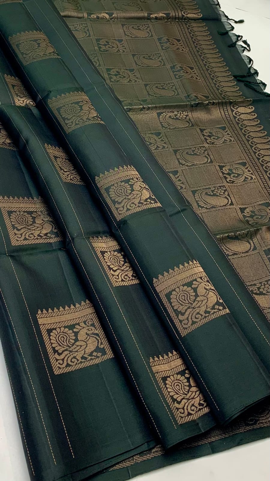 Trendy Borderless Kanchi Silk Sarees