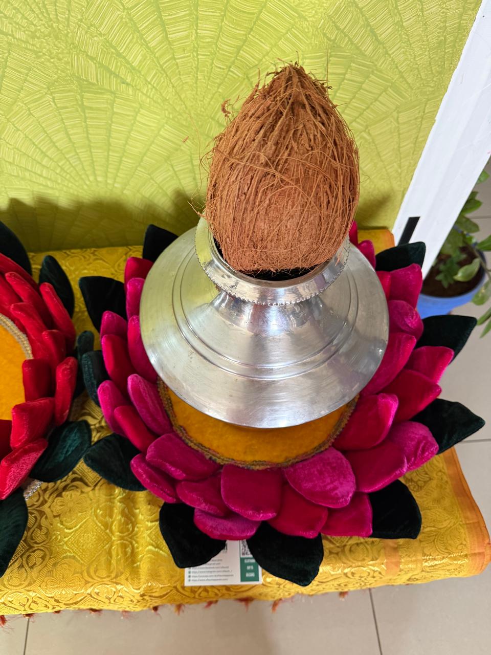 Velvet Lotus Peedam