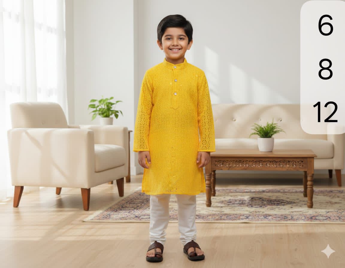 Boys Chikankari  Kurta sets