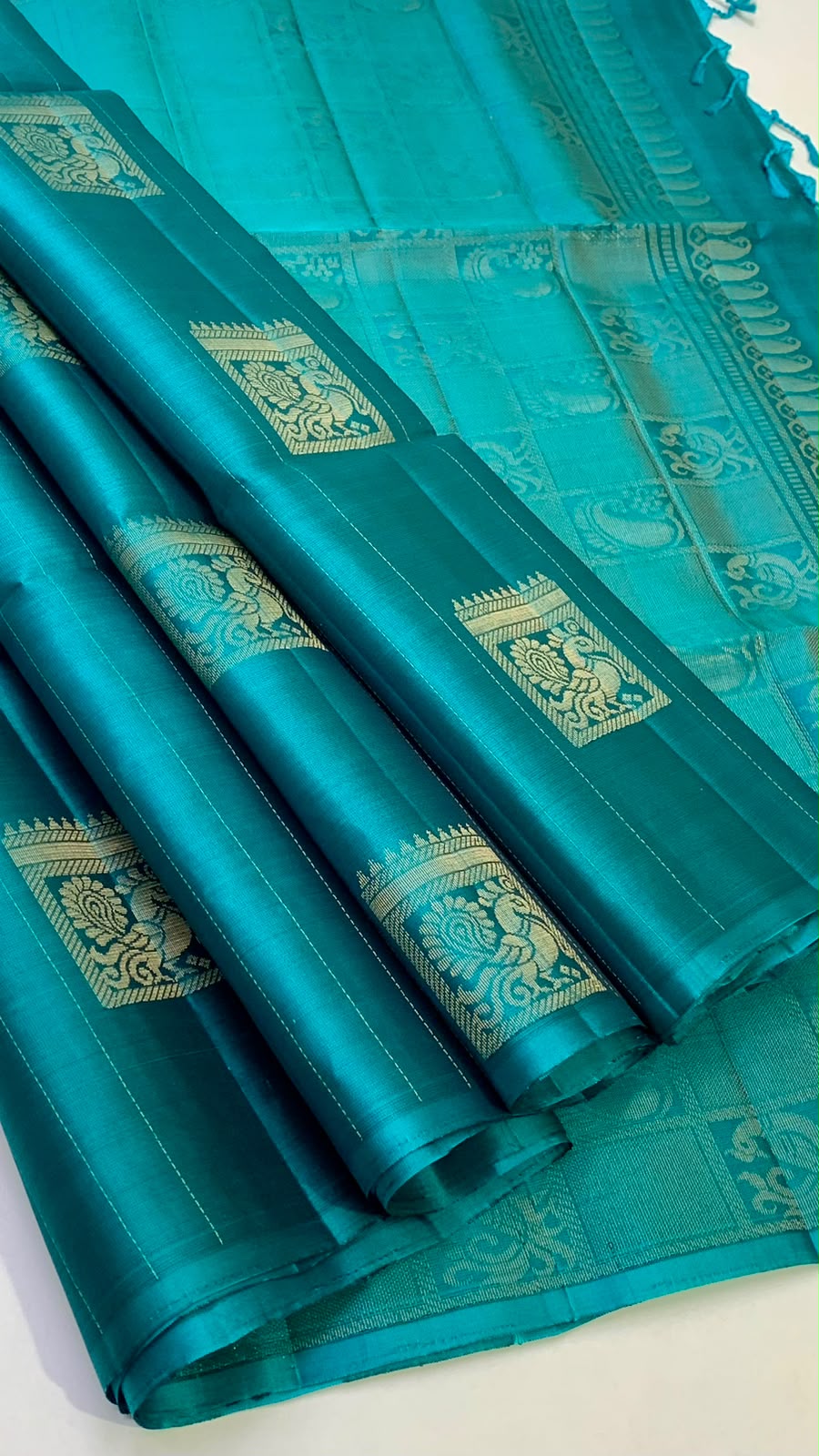Trendy Borderless Kanchi Silk Sarees