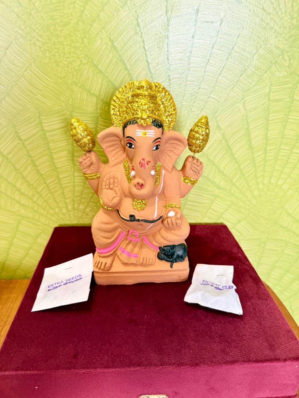 Eco friendly Seed Ganesha