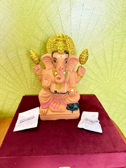 Eco friendly Seed Ganesha