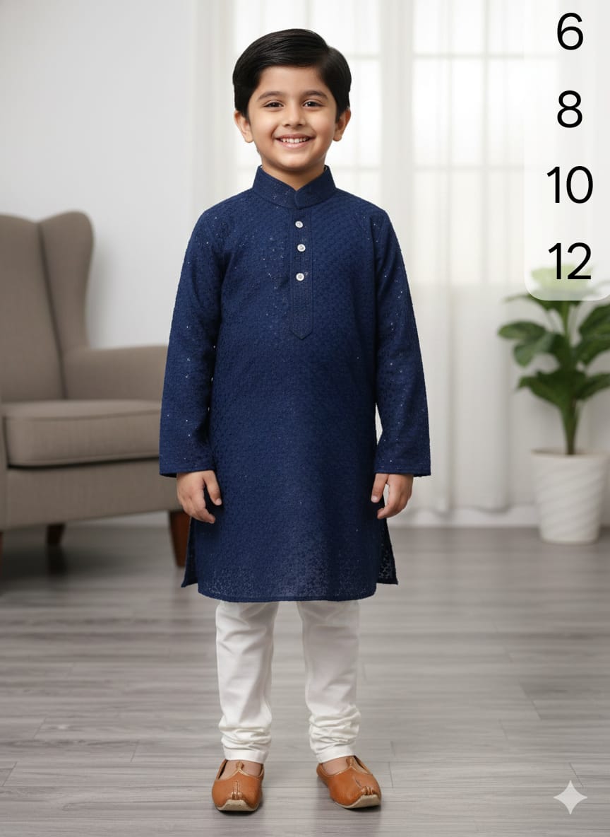 Boys Chikankari  Kurta sets