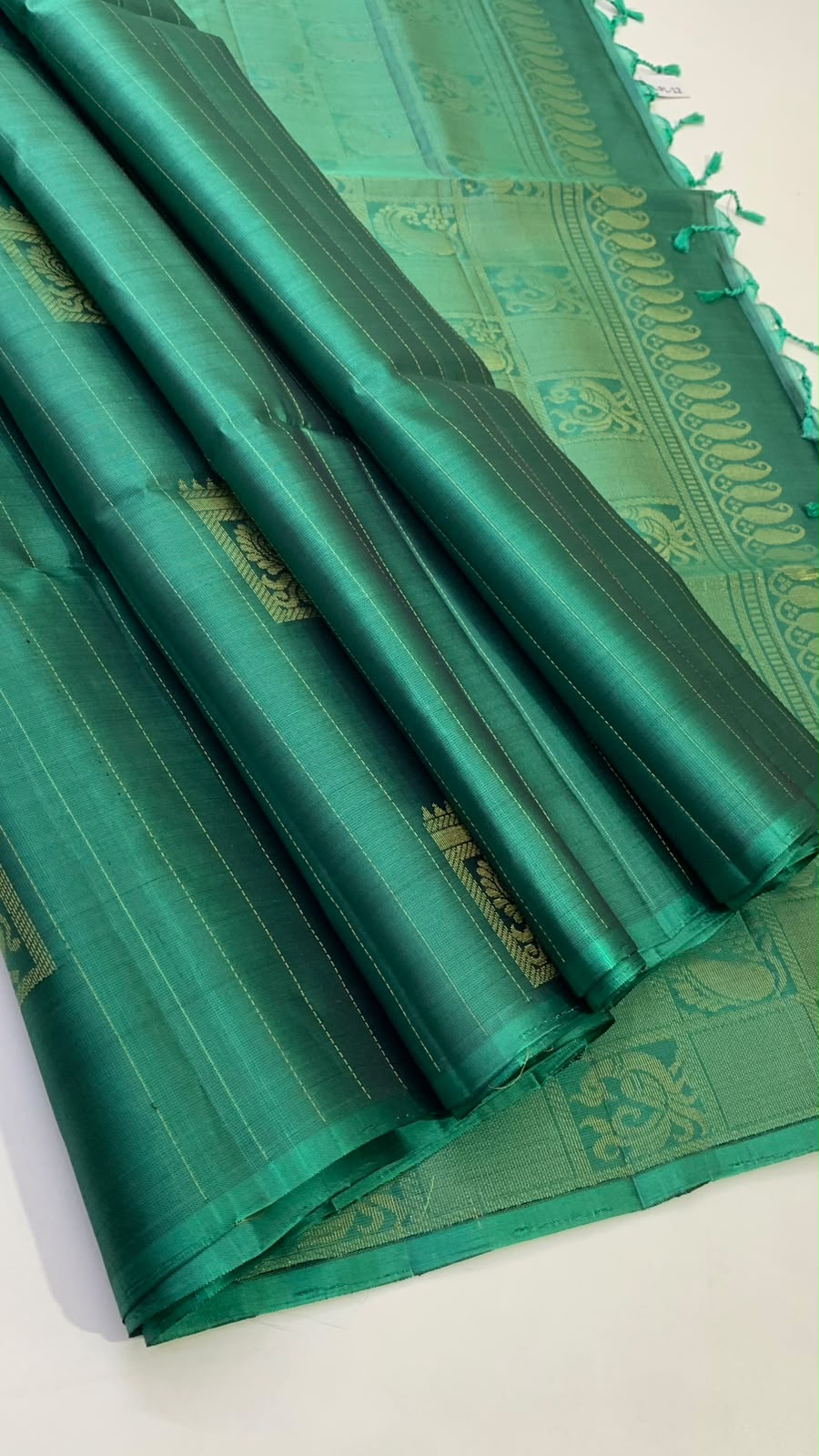Trendy Borderless Kanchi Silk Sarees