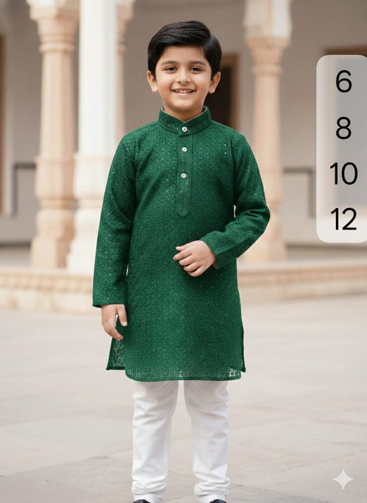 Boys Chikankari  Kurta sets