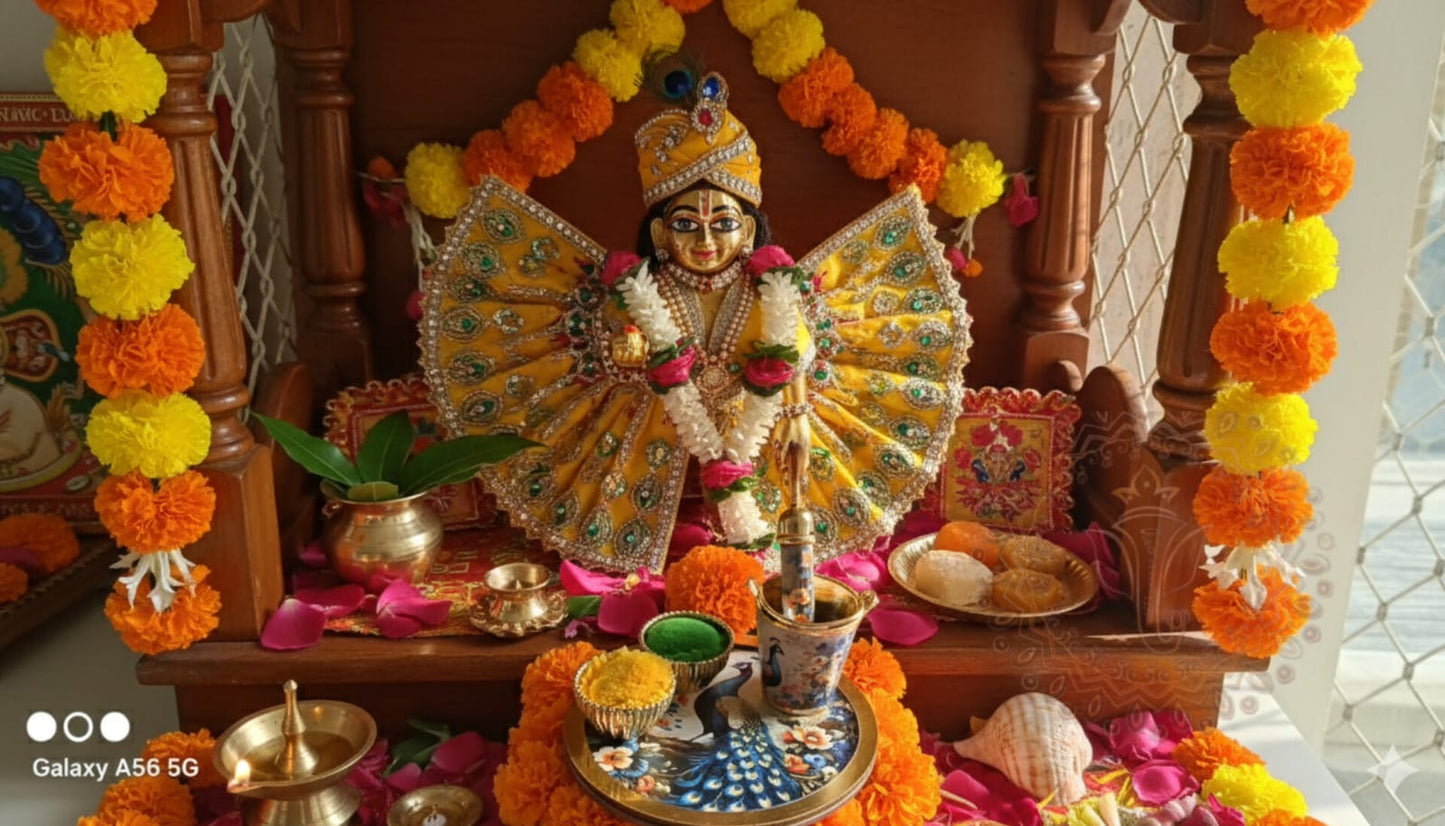 Holi Pooja Platters Set of 20