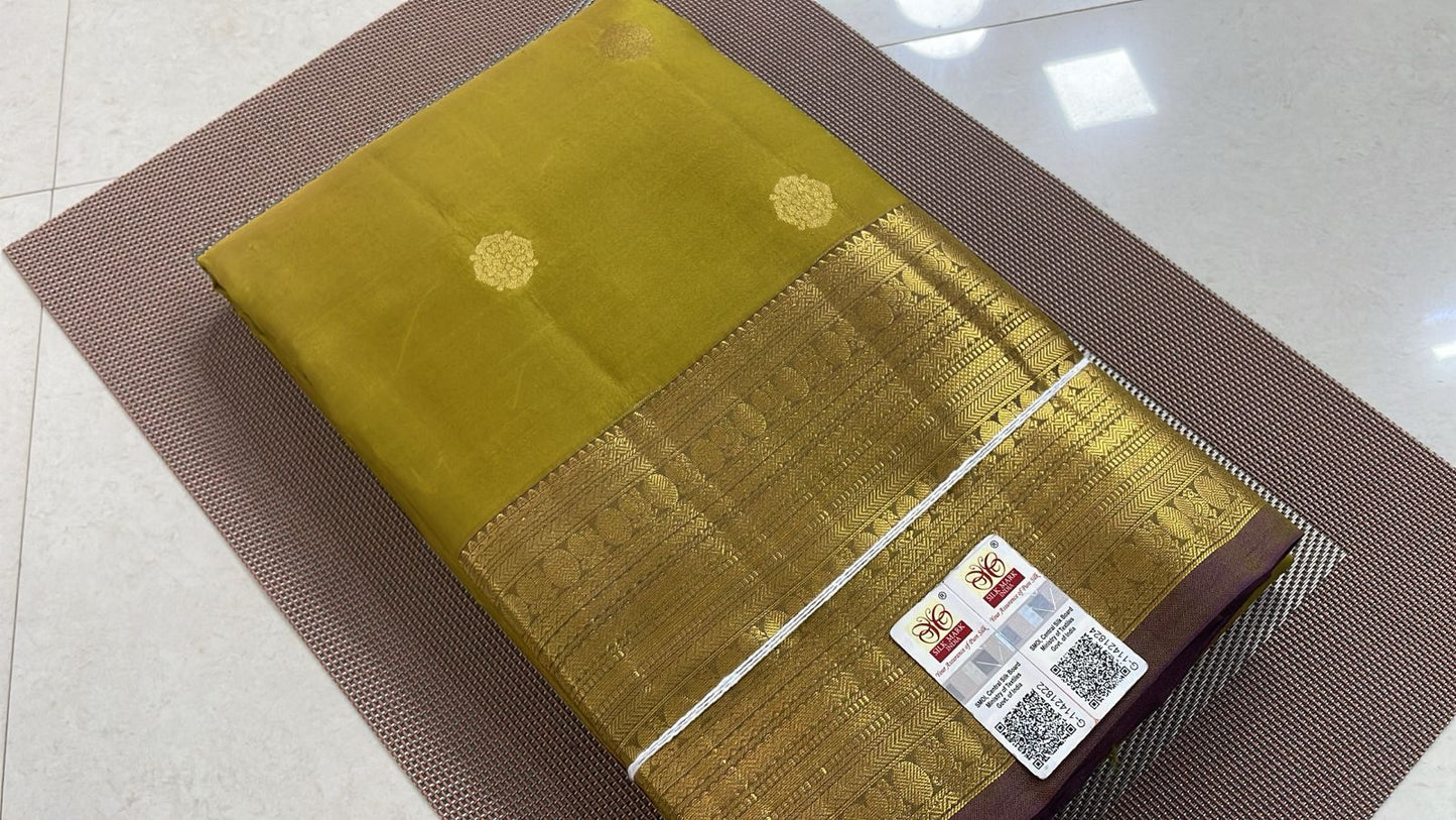 Tissue Border Kanchi Silk Sarees