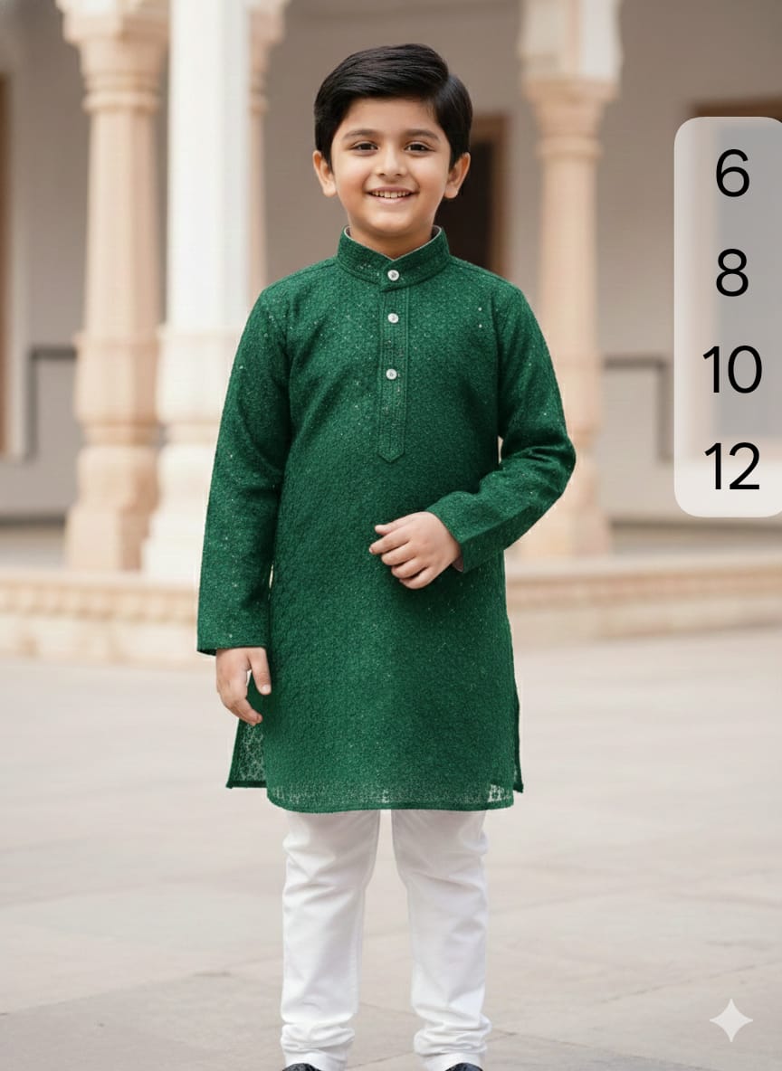 Boys Chikankari  Kurta sets