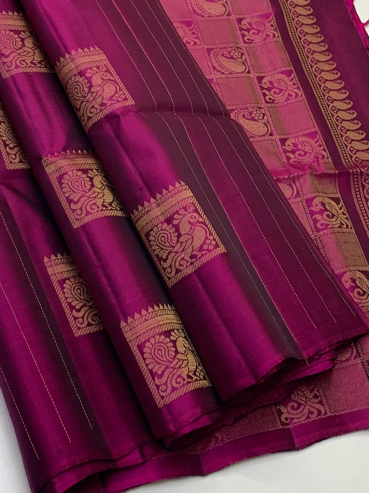 Trendy Borderless Kanchi Silk Sarees