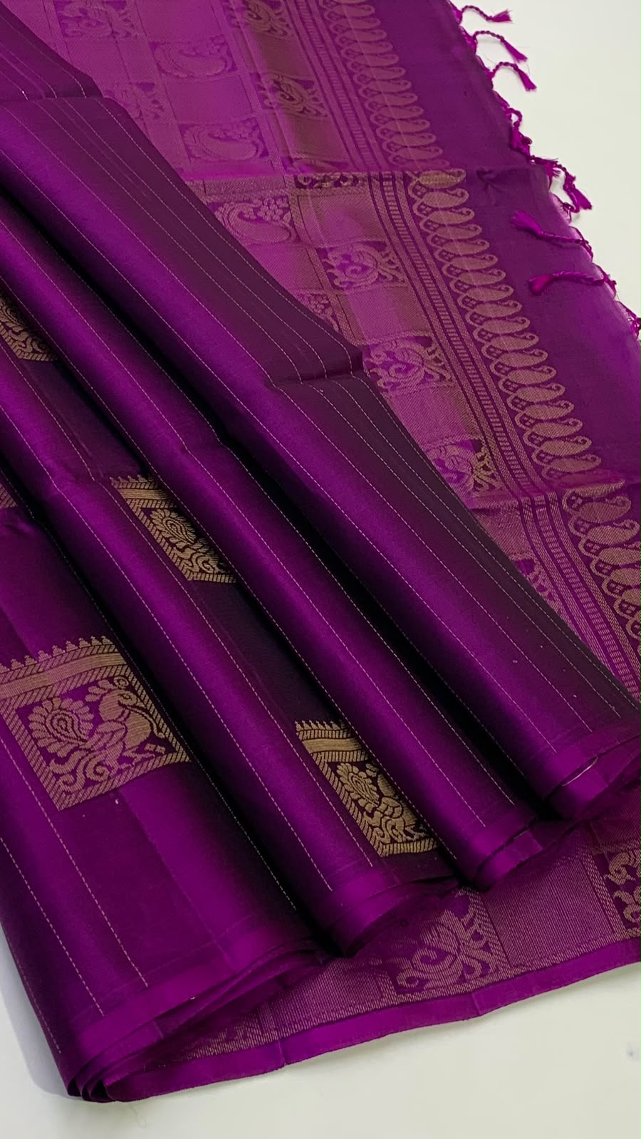 Trendy Borderless Kanchi Silk Sarees