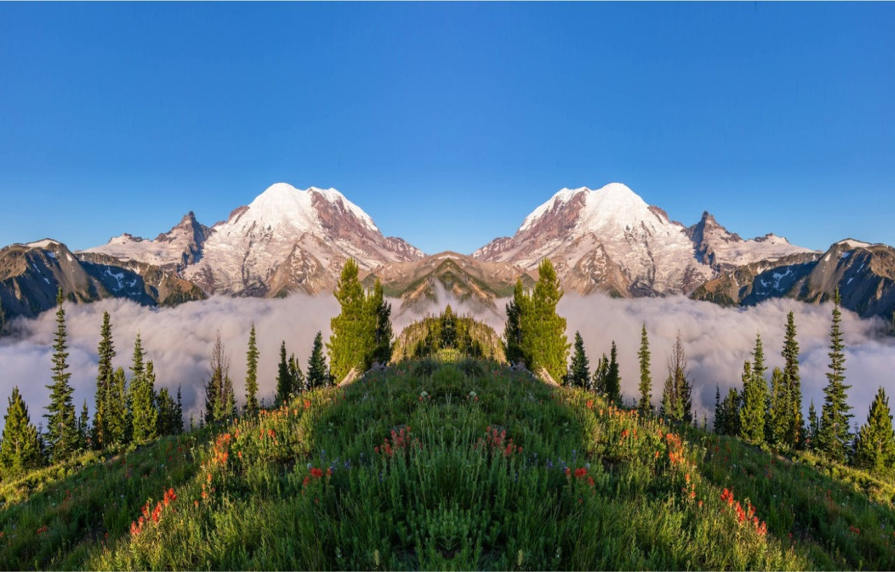 Taiwan 3D Backdrops