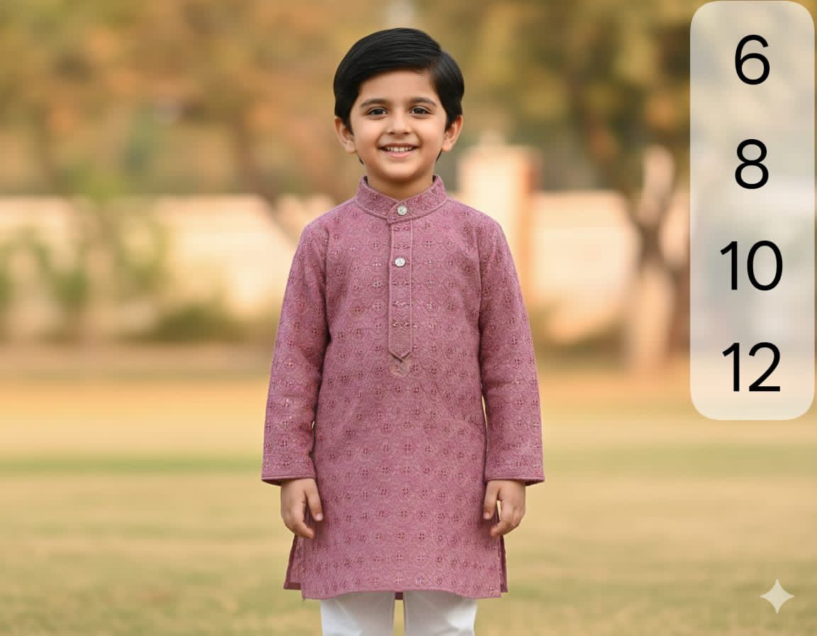 Boys Chikankari  Kurta sets