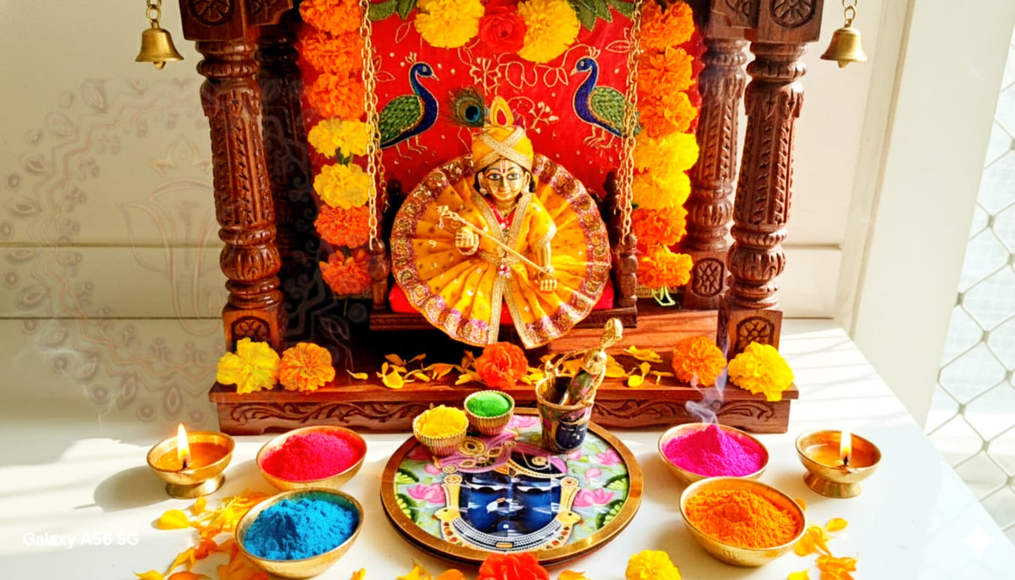Holi Pooja Platters Set of 20