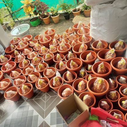 Vinayagar Chathurthi