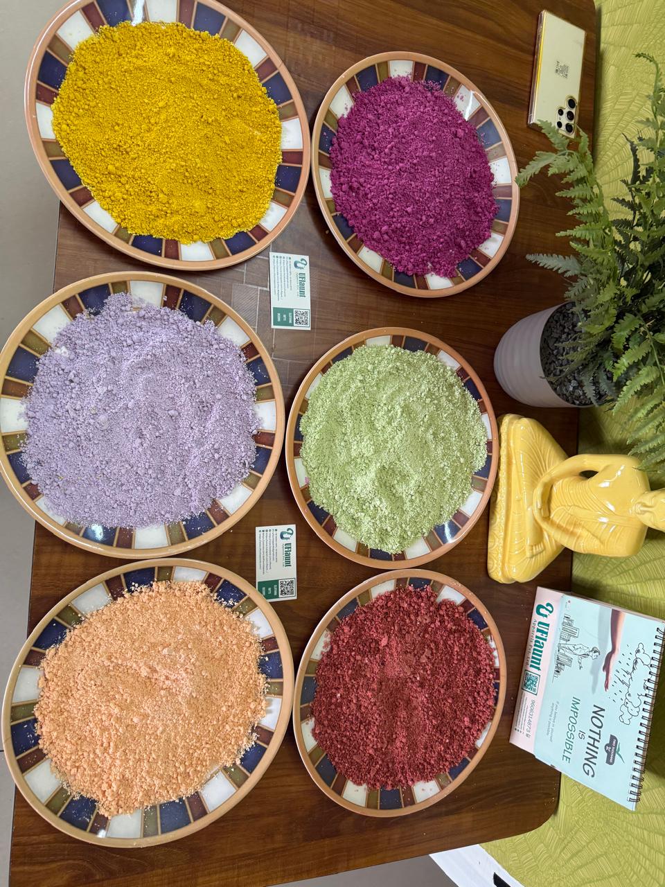 Homemade Natural Holi Colors pack of 6 colors